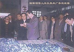悠久历史---国家领导人王乐泉视察工厂