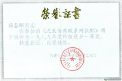总经理杨春刚科研项目获省级科技进步一等奖